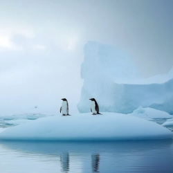 Antarctica